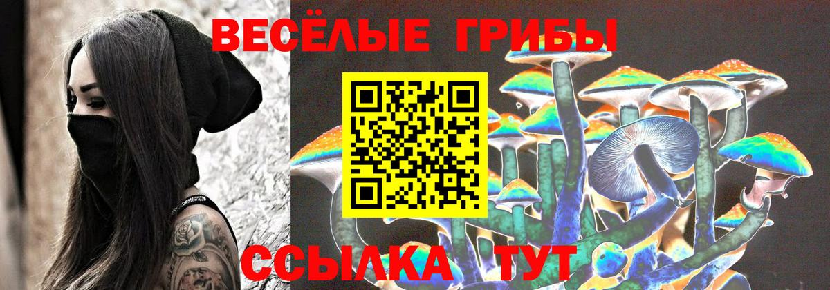 Галлюциногенные грибы мухоморы  Вход с VPN  Арзамас  Псилоцибиновые грибы Psilocybe 